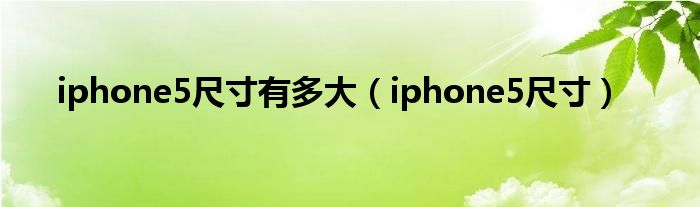 iphone5尺寸有多大（iphone5尺寸）