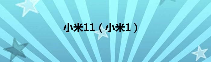 小米11（小米1）