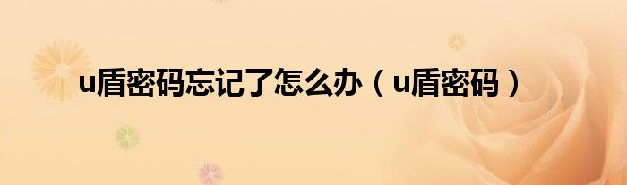 u盾密码忘记了怎么办（u盾密码）