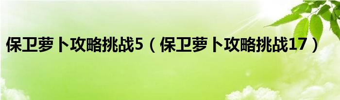 保卫萝卜攻略挑战5（保卫萝卜攻略挑战17）