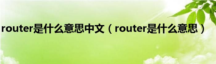 router是什么意思中文（router是什么意思）