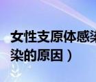女性支原体感染的原因是什么（女性支原体感染的原因）
