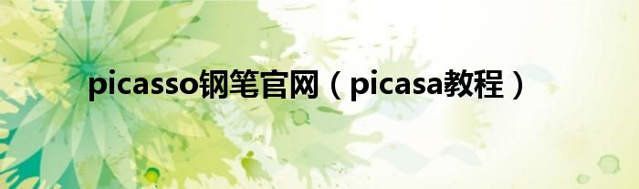 picasso钢笔官网（picasa教程）