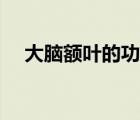 大脑额叶的功能定位（大脑额叶的功能）