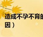 造成不孕不育的主要原因（引起不孕不育的原因）