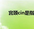 宫颈cin是指（子宫颈cin是什么意思）