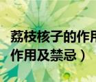 荔枝核子的作用与功效及禁忌（荔枝核的功效作用及禁忌）