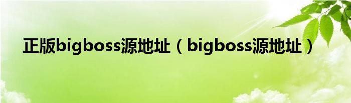 正版bigboss源地址（bigboss源地址）