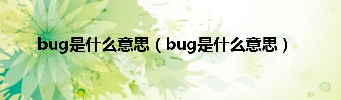 bug是什么意思（bug是什么意思）