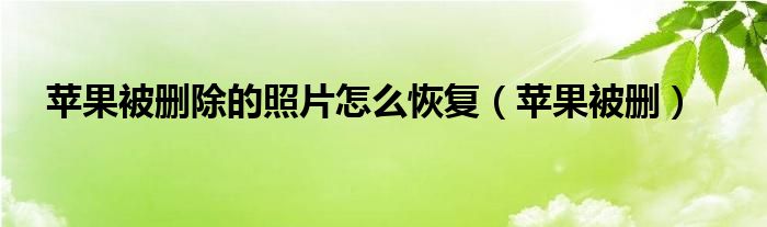 苹果被删除的照片怎么恢复（苹果被删）