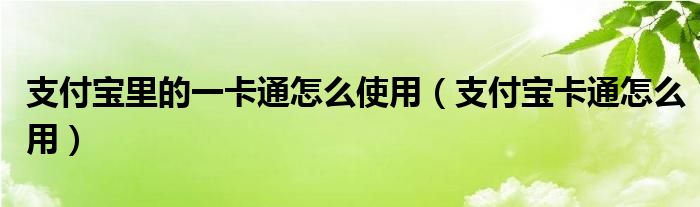 支付宝里的一卡通怎么使用（支付宝卡通怎么用）