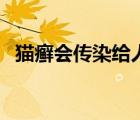 猫癣会传染给人吗（猫癣会传染给人类吗）