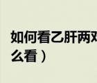 如何看乙肝两对半的结果（乙肝三对半结果怎么看）
