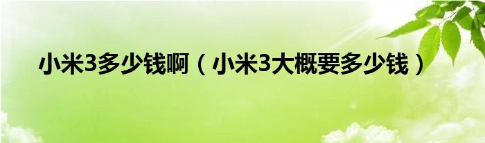 小米3多少钱啊（小米3大概要多少钱）