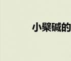 小檗碱的作用（小檗碱的作用）