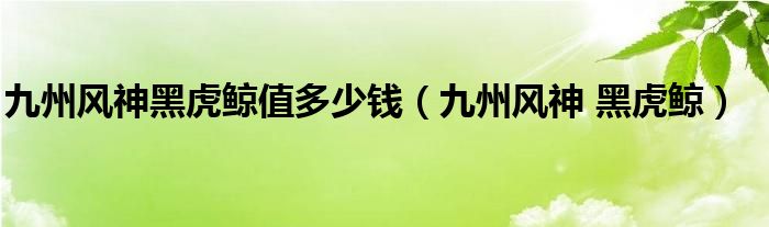 九州风神黑虎鲸值多少钱（九州风神 黑虎鲸）