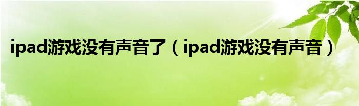 ipad游戏没有声音了（ipad游戏没有声音）