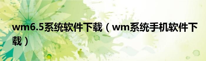 wm6.5系统软件下载（wm系统手机软件下载）