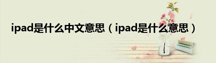 ipad是什么中文意思（ipad是什么意思）