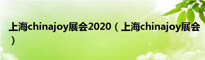 上海chinajoy展会2020（上海chinajoy展会）