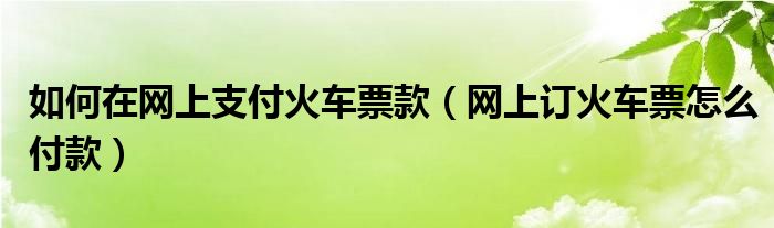 如何在网上支付火车票款（网上订火车票怎么付款）