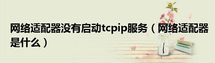 网络适配器没有启动tcpip服务（网络适配器是什么）