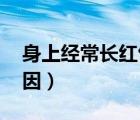 身上经常长红包,痒（身上长红包很痒什么原因）