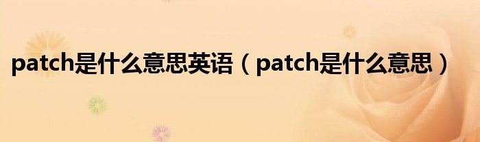 patch是什么意思英语（patch是什么意思）