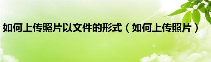 如何上传照片以文件的形式（如何上传照片）