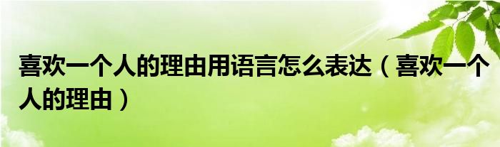 喜欢一个人的理由用语言怎么表达（喜欢一个人的理由）