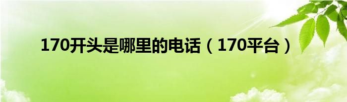 170开头是哪里的电话（170平台）