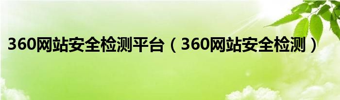 360网站安全检测平台（360网站安全检测）