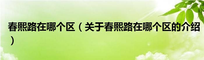 春熙路在哪个区（关于春熙路在哪个区的介绍）