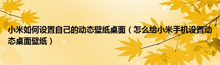 小米如何设置自己的动态壁纸桌面（怎么给小米手机设置动态桌面壁纸）