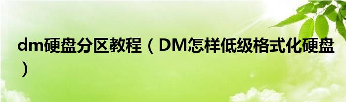 dm硬盘分区教程（DM怎样低级格式化硬盘）