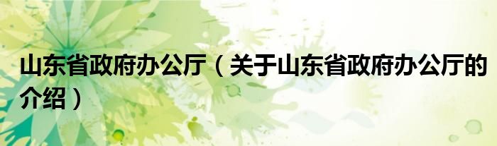 山东省政府办公厅（关于山东省政府办公厅的介绍）