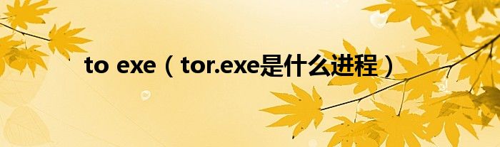 to exe（tor.exe是什么进程）