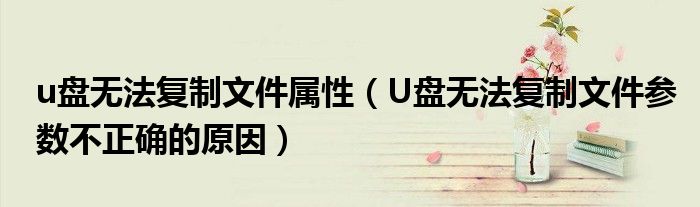 u盘无法复制文件属性（U盘无法复制文件参数不正确的原因）