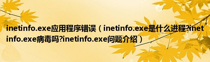 inetinfo.exe应用程序错误（inetinfo.exe是什么进程?inetinfo.exe病毒吗?inetinfo.exe问题介绍）