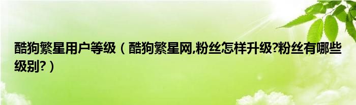 酷狗繁星用户等级（酷狗繁星网,粉丝怎样升级?粉丝有哪些级别?）