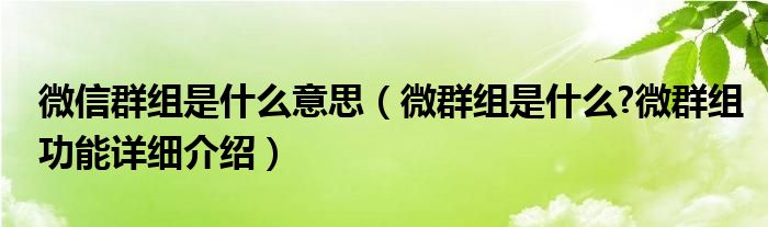 微信群组是什么意思（微群组是什么?微群组功能详细介绍）