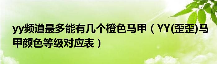 yy频道最多能有几个橙色马甲（YY(歪歪)马甲颜色等级对应表）