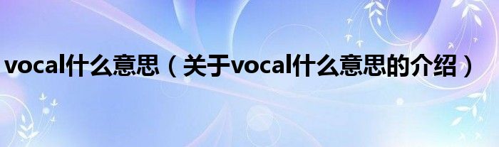 vocal什么意思（关于vocal什么意思的介绍）