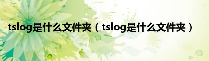 tslog是什么文件夹（tslog是什么文件夹）