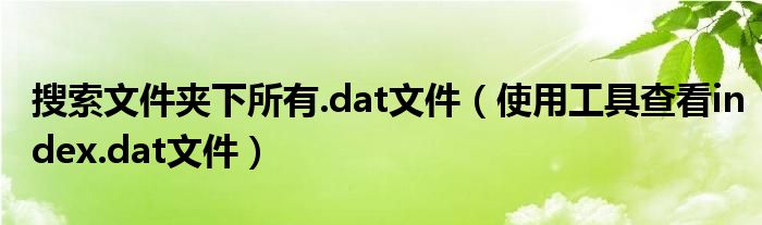 搜索文件夹下所有.dat文件（使用工具查看index.dat文件）