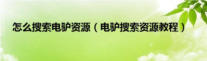 怎么搜索电驴资源（电驴搜索资源教程）