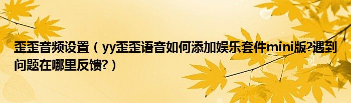 歪歪音频设置（yy歪歪语音如何添加娱乐套件mini版?遇到问题在哪里反馈?）