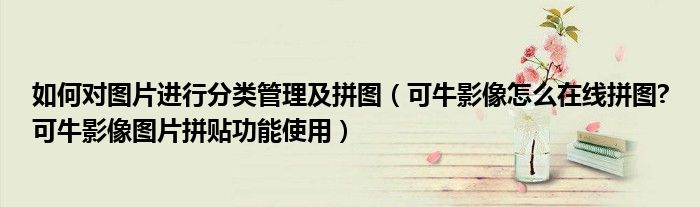 如何对图片进行分类管理及拼图（可牛影像怎么在线拼图?可牛影像图片拼贴功能使用）
