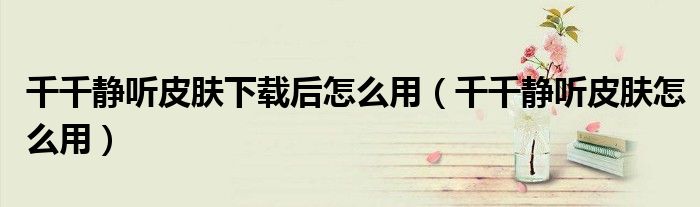 千千静听皮肤下载后怎么用（千千静听皮肤怎么用）