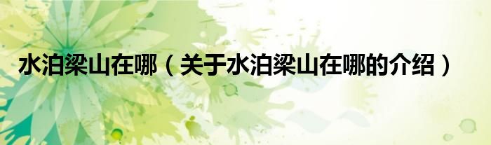 水泊梁山在哪（关于水泊梁山在哪的介绍）
